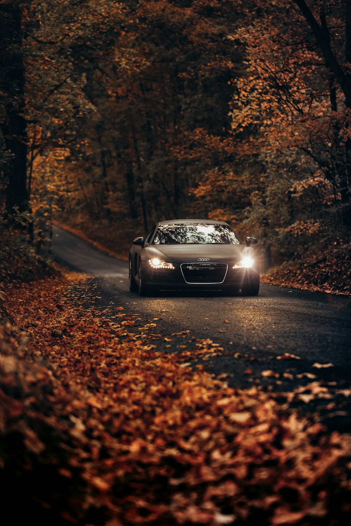 Audi op een rustige weg tussen hoge bomen